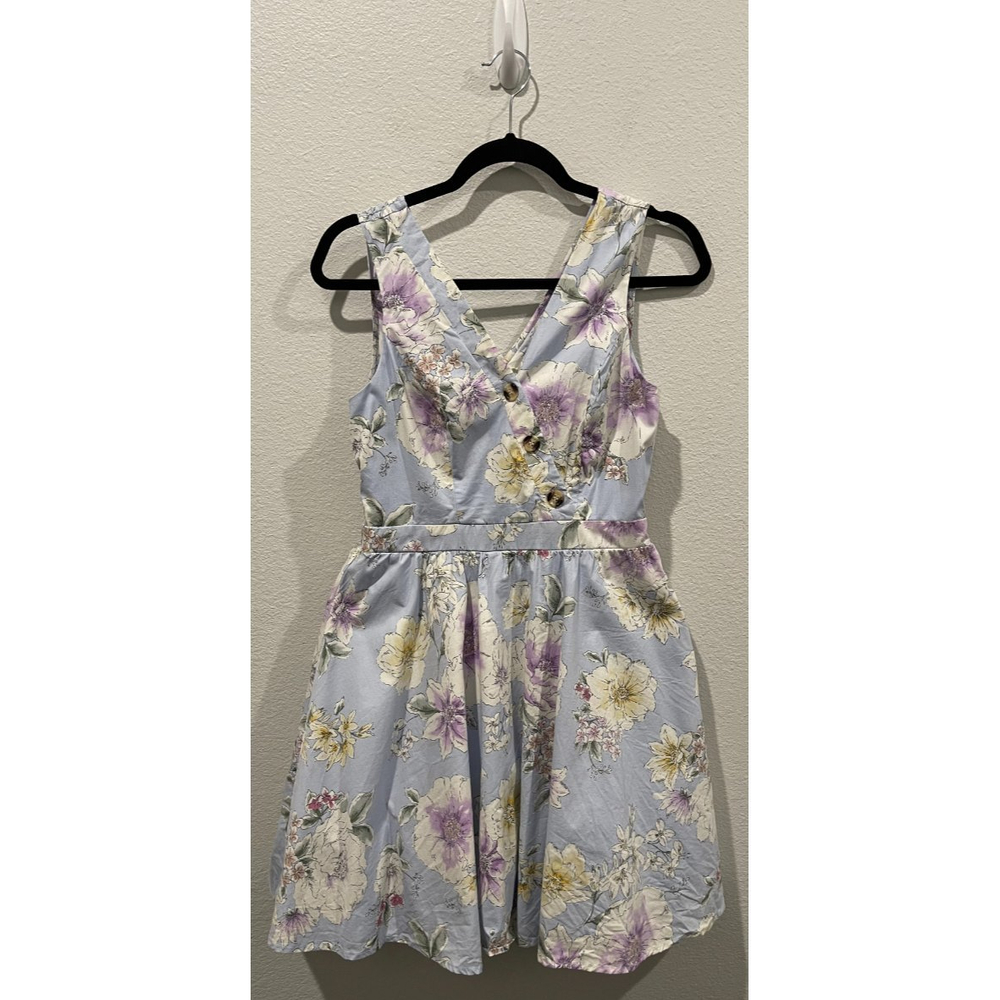 FRANCESCA'S Blue and White Floral Mini Dress